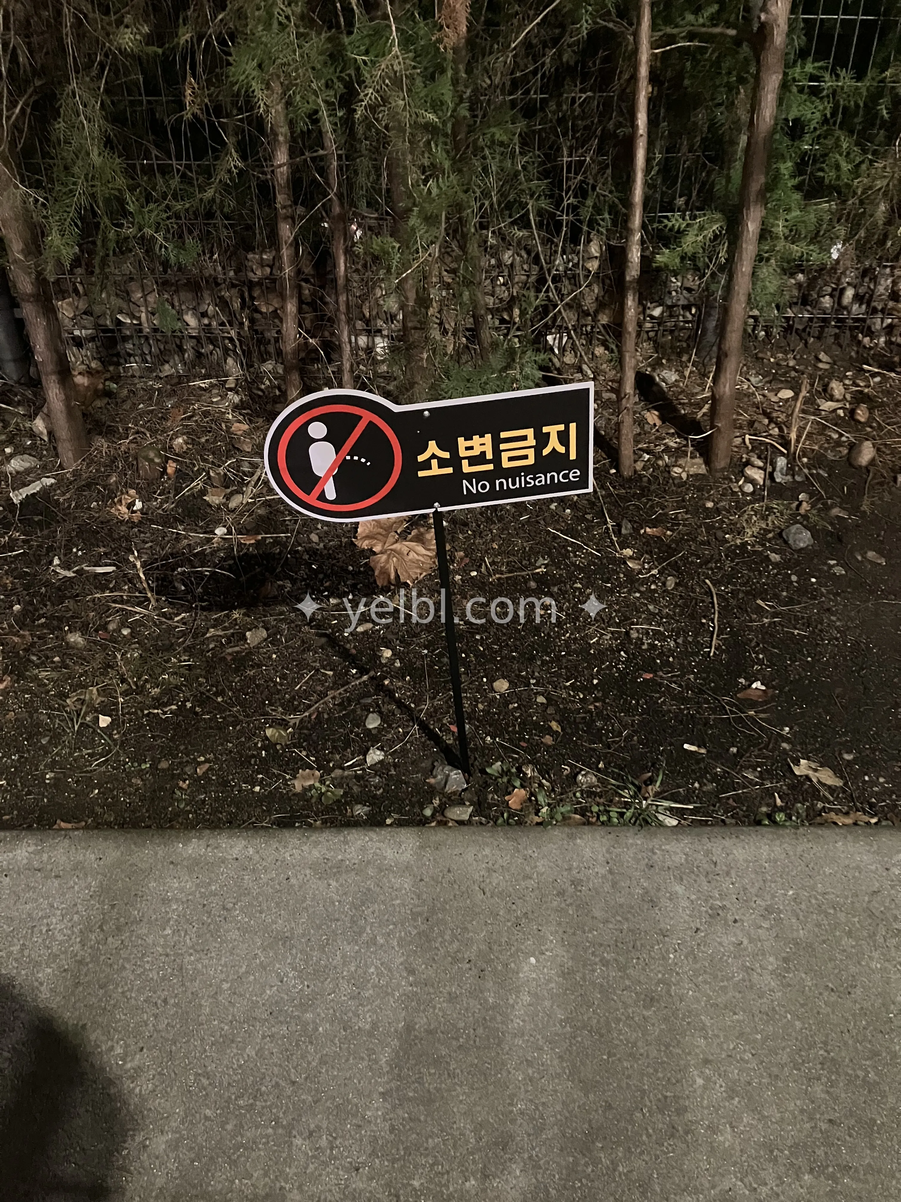 옐블에서 금지되는 행위